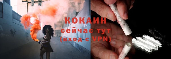 гидра Рославль