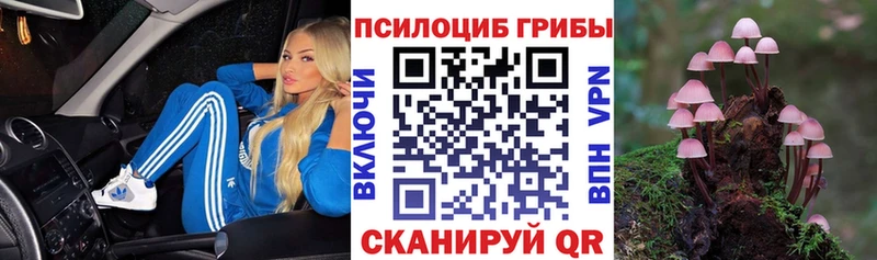 Псилоцибиновые грибы прущие грибы  Мариинский Посад 